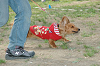picnic_land_C-0212_thumb.png