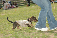 picnic_land_C-0213.jpg