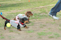 picnic_land_C-0215.jpg