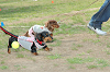 picnic_land_C-0215_thumb.png