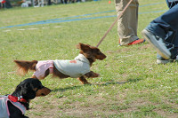 picnic_land_C-0216.jpg