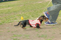 picnic_land_C-0217.jpg
