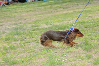 picnic_land_C-0218.jpg