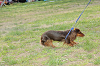 picnic_land_C-0218_thumb.png