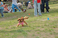 picnic_land_C-0219.jpg