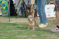 picnic_land_C-0223.jpg