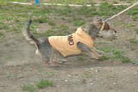 picnic_land_C-0224.jpg