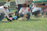 picnic_land_C-0226.jpg