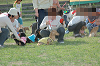 picnic_land_C-0226_thumb.png