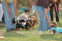 picnic_land_C-0228.jpg