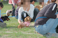picnic_land_C-0229.jpg