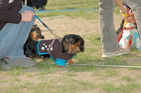 picnic_land_C-0230.jpg