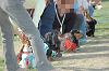picnic_land_C-0231_thumb.png