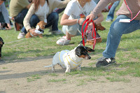 picnic_land_C-0232.jpg