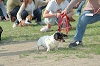 picnic_land_C-0232_thumb.png