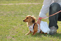 picnic_land_C-0233.jpg
