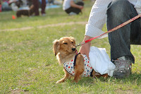 picnic_land_C-0234.jpg