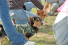 picnic_land_C-0236_thumb.png