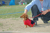 picnic_land_C-0238_thumb.png