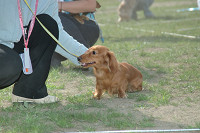 picnic_land_C-0240.jpg