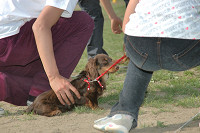picnic_land_C-0241.jpg