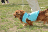 picnic_land_C-0242_thumb.png