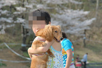 picnic_land_C-0245.jpg