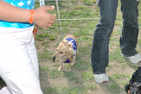 picnic_land_C-0246.jpg