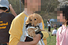 picnic_land_C-0247_thumb.png