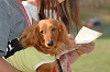 picnic_land_C-0252_thumb.png