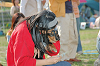 picnic_land_C-0254_thumb.png