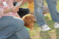 picnic_land_C-0256.jpg
