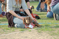 picnic_land_C-0257.jpg