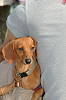 picnic_land_C-0263_thumb.png