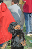 picnic_land_C-0266_thumb.png