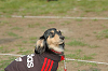 picnic_land_C-0272_thumb.png