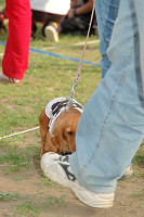 picnic_land_C-0279.jpg