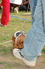 picnic_land_C-0279_thumb.png