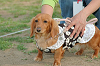picnic_land_C-0280_thumb.png