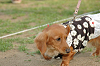 picnic_land_C-0281_thumb.png