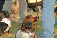 picnic_land_C-0284.jpg