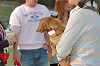 picnic_land_C-0294_thumb.png