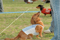 picnic_land_C-0296.jpg