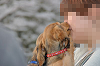 picnic_land_C-0300_thumb.png