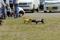 picnic_land_D-0001.jpg