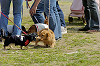 picnic_land_D-0002_thumb.png