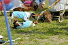 picnic_land_D-0003_thumb.png
