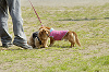 picnic_land_D-0004_thumb.png