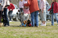 picnic_land_D-0005.jpg