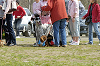 picnic_land_D-0005_thumb.png